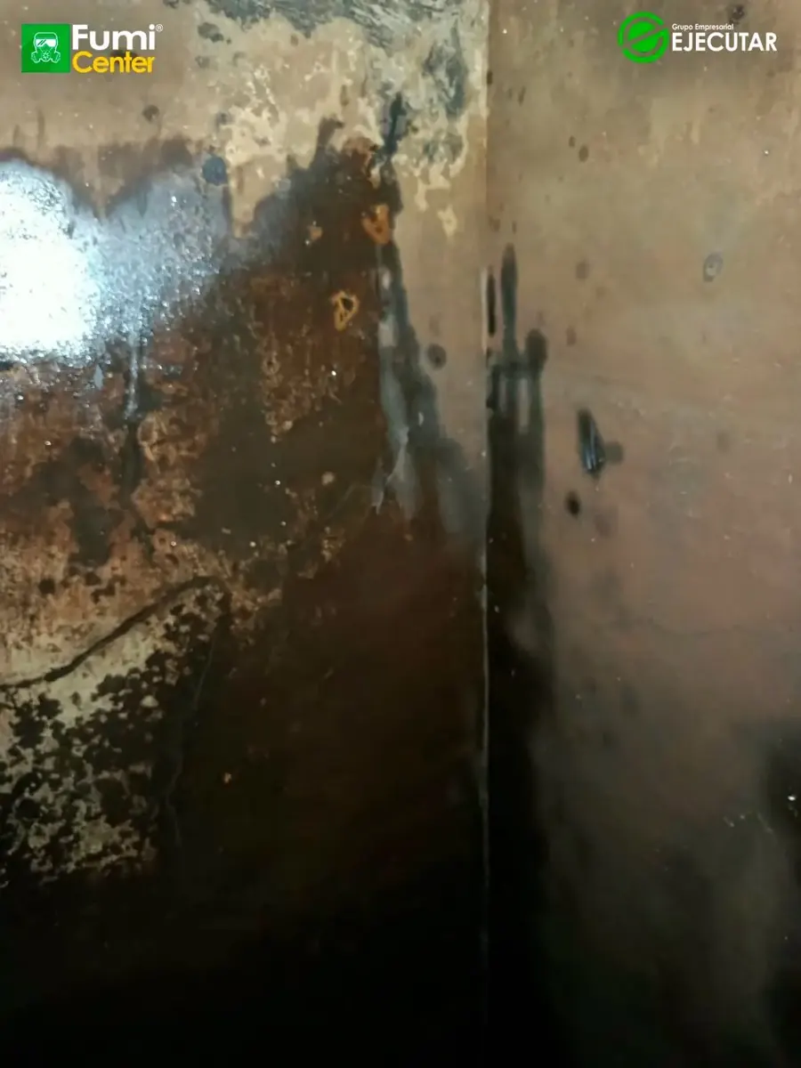 Lavado de tanque de agua en sede de la Registraduría Nacional del Estado Civil por FumiCenter: cisterna de concreto y tanques durante el servicio (5)