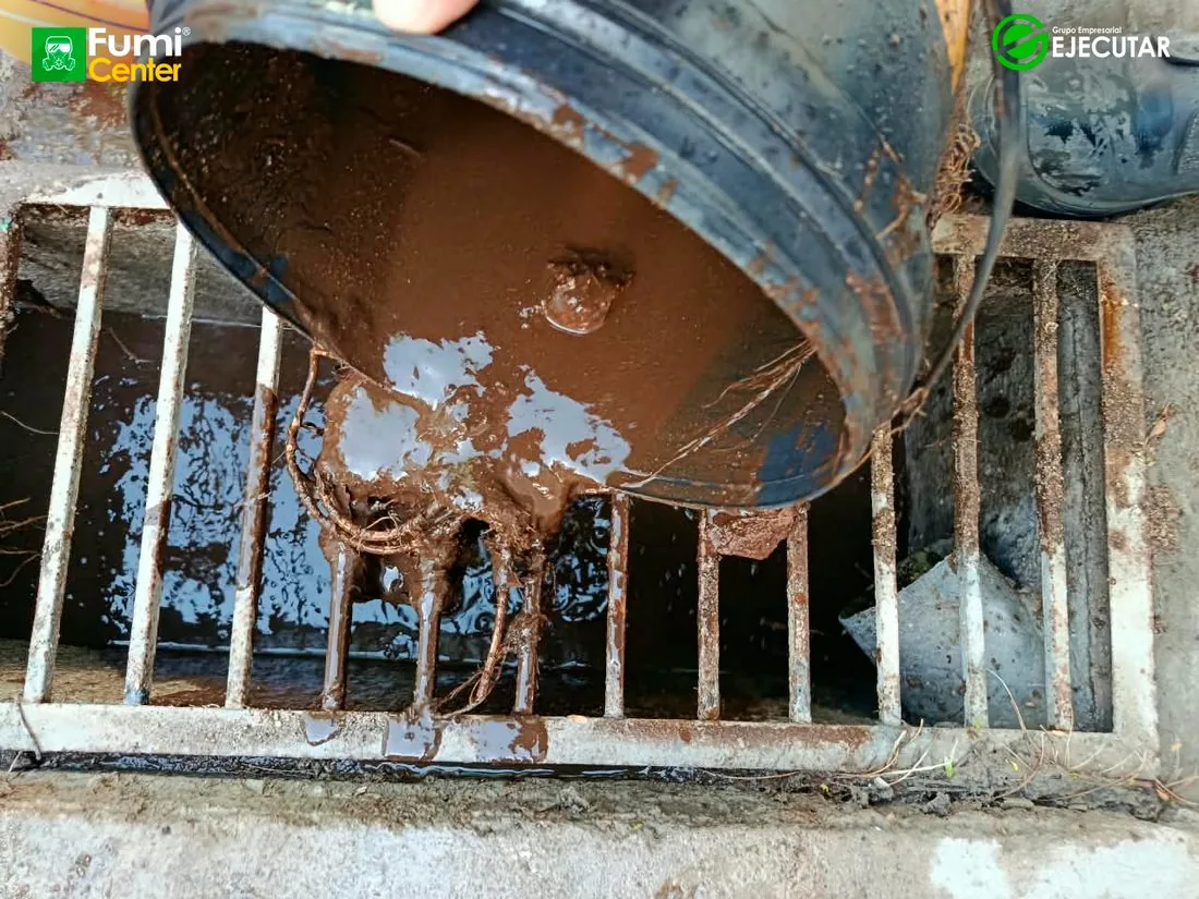 Lavado de tanque de agua en sede de la Registraduría Nacional del Estado Civil por FumiCenter: cisterna de concreto y tanques durante el servicio (6)