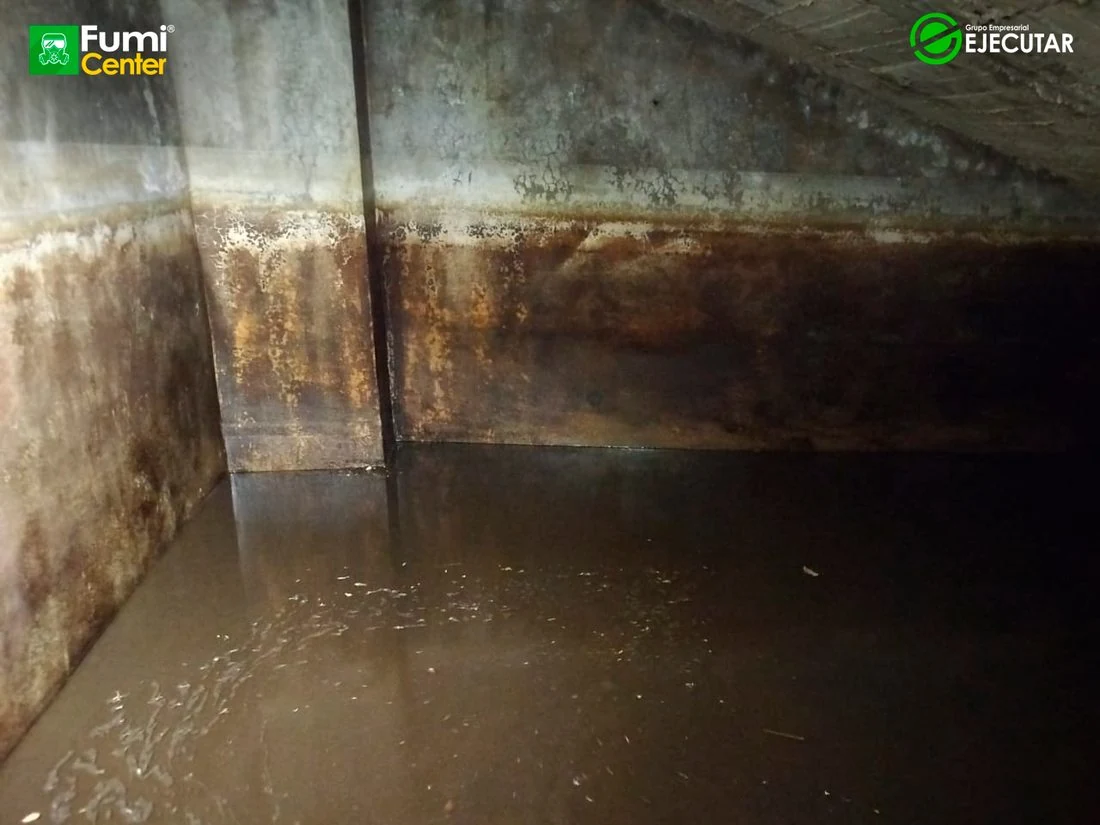 Lavado de cisterna subterránea en sede del SENA Regional Magdalena por FumiCenter: acceso, lodo en el fondo, trabajo con línea de vida y tanque limpio (2)
