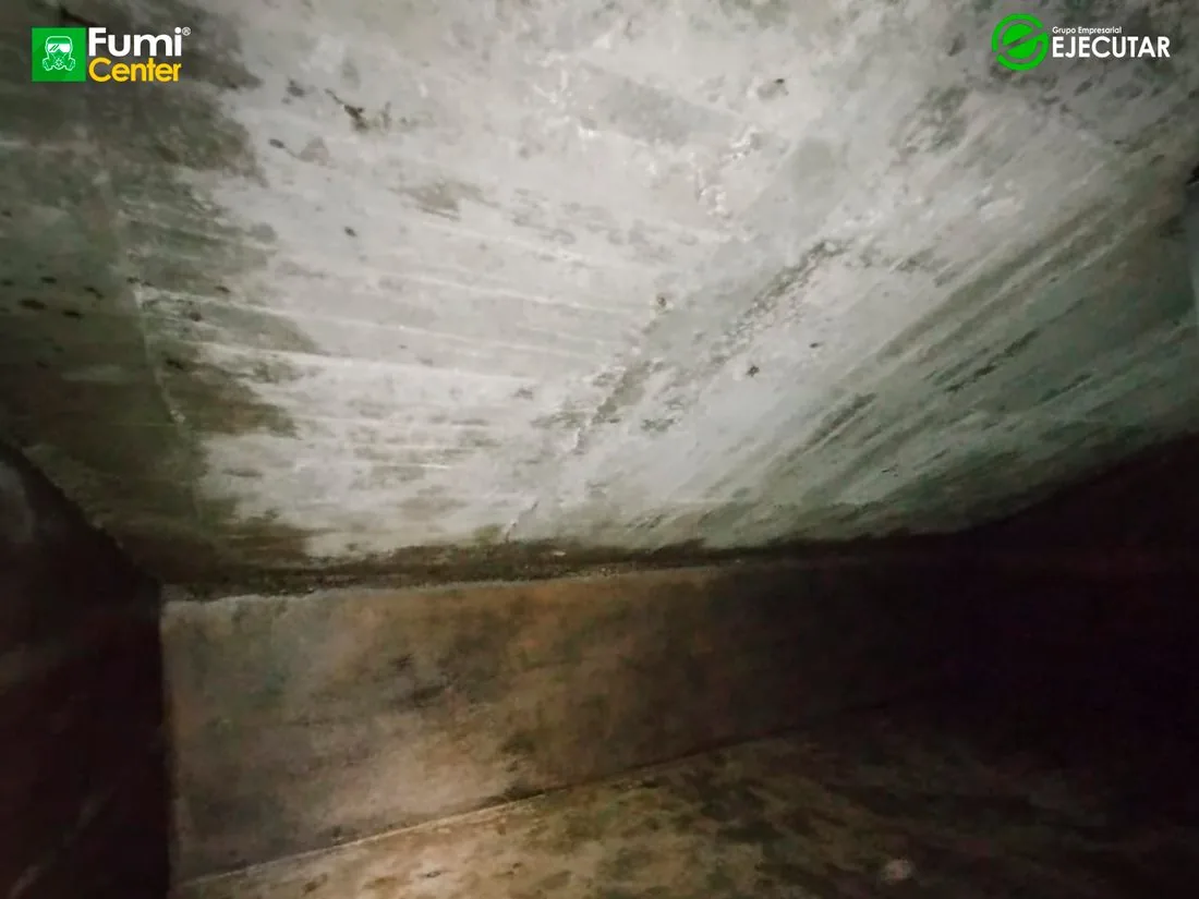 Lavado de cisterna subterránea en sede del SENA Regional Magdalena por FumiCenter: acceso, lodo en el fondo, trabajo con línea de vida y tanque limpio (6)